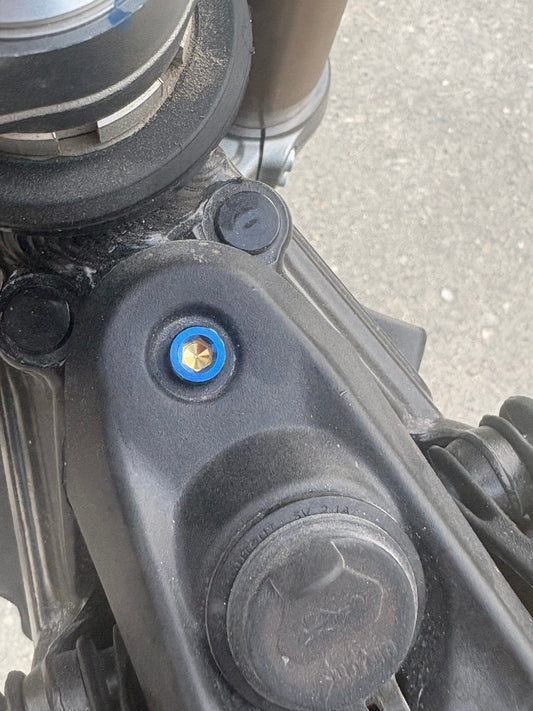 Ultra Bee ignition titanium bolt